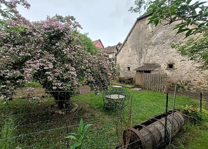 Grange Renovee Dans Cour Privee Avec Jardin Sur Les Remparts *